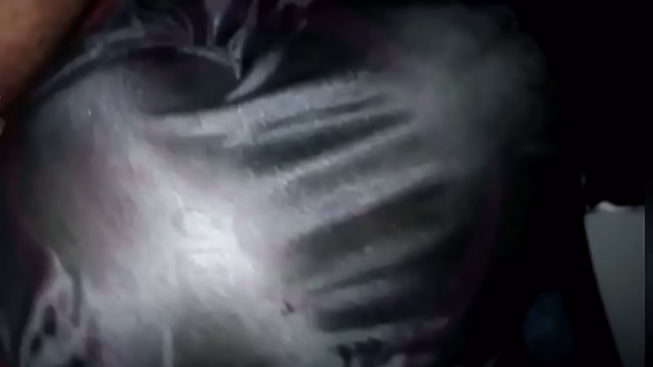 Árabe Sharmota Árabe Sharmota Sexo Árabe Sharmota
                    creampie rough doggystyle amateur homemade lingerie moaning nylon pantyhose rough sex cum on ass arabic roleplay taboo farts big cock big butt wet pussy wild sex cum bubbles cum covered juicy pussy creamy pussy big pussy lips creamy squirt risky sex hard and fast fucking liquid squirt enthusiastic sex muchos negros