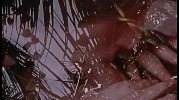 Download Video - Sex freaks &lpar;1974&rpar; - Blowjobs & Cumshots Cut