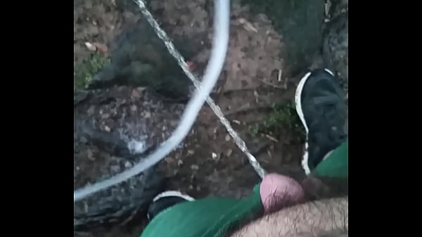 Download Video - 20180319 073933