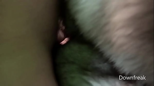 Download Video - Humping Blue Fox Fur Blanket on Leather Sofa