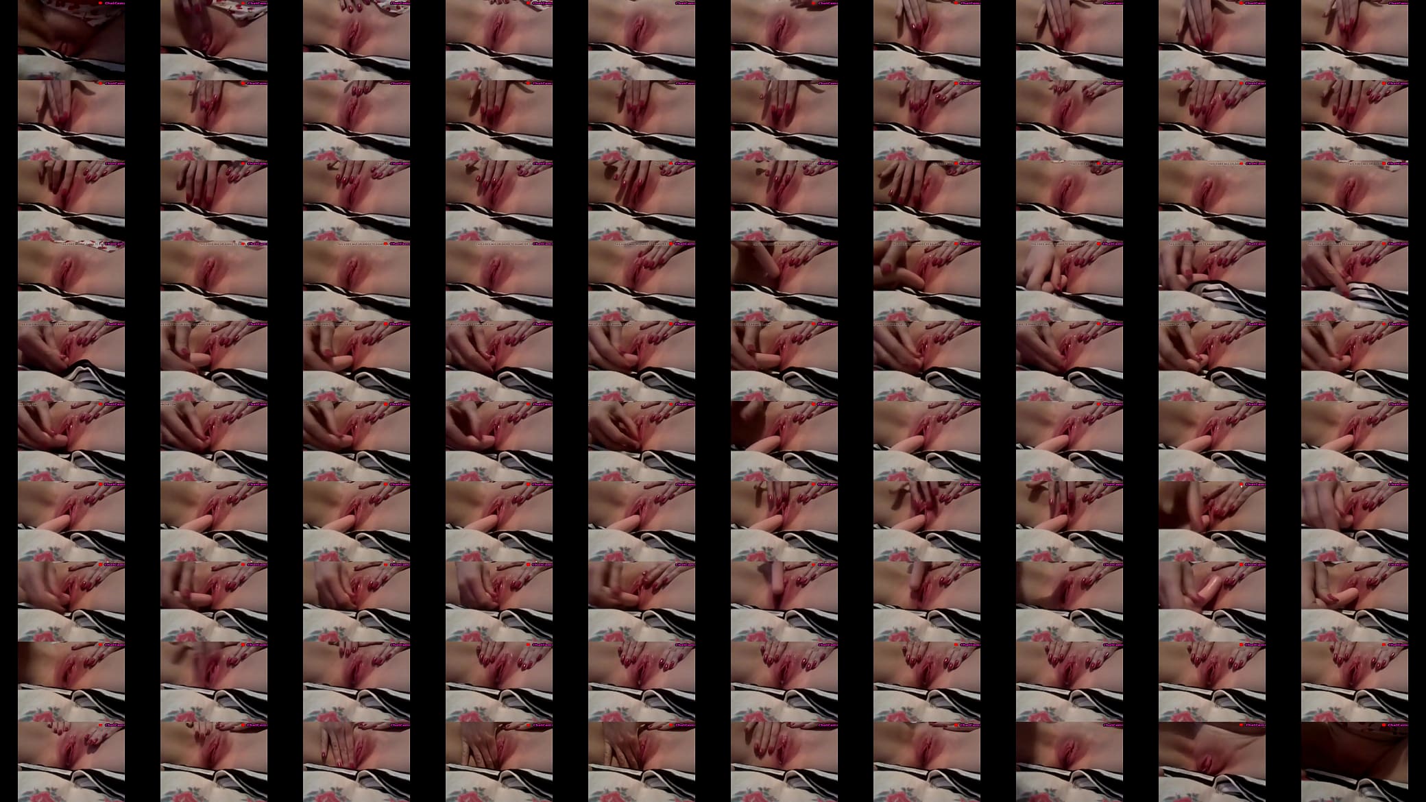sausage in my pussy 预览图
