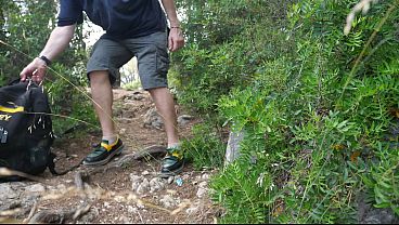 when i meet an Porn Actress walking in the wood ! (gabriela flores, la cubana ) ! free vid !!!