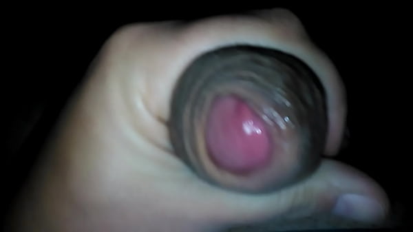 Download Video - lechazo en cuarentena