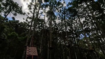 I traveled to Campos do Jordão with my cute boyfriend ft. QroZne [FREE SCENE]