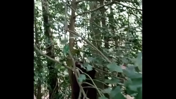 2025 04 16 Slave F in forest walking and dogging