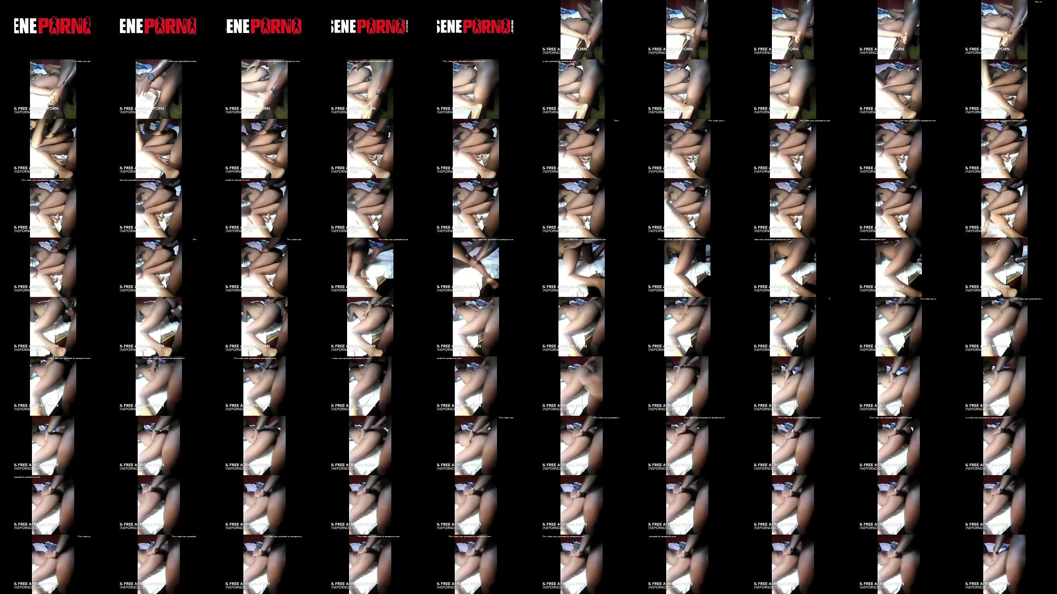 BlackCarolDick 预览图