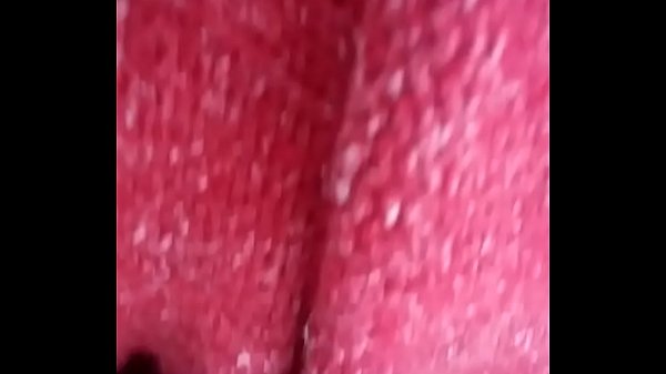 Download Video - 20161108 072517