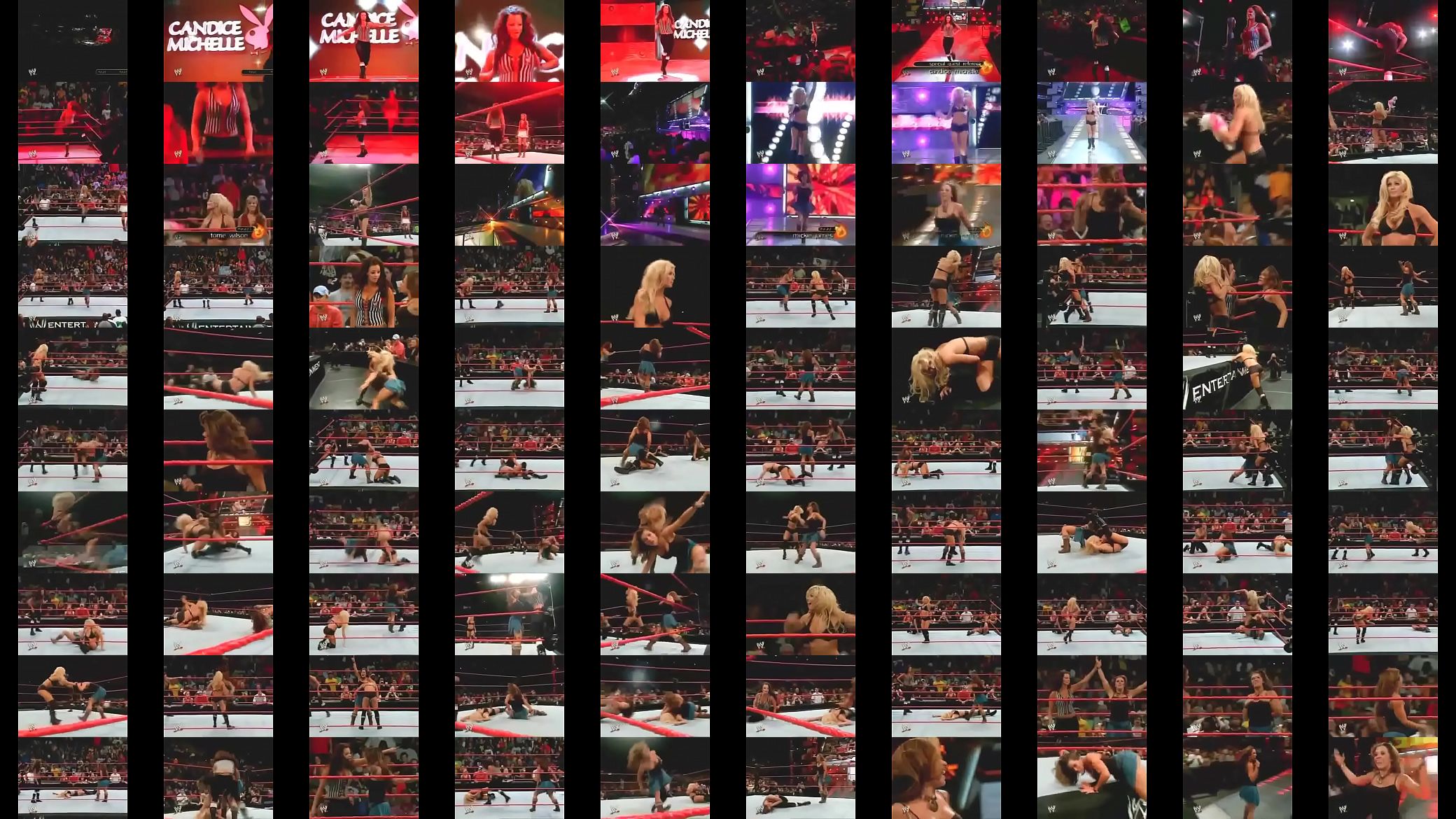 Torrie Wilson vs Mickie James. 预览图