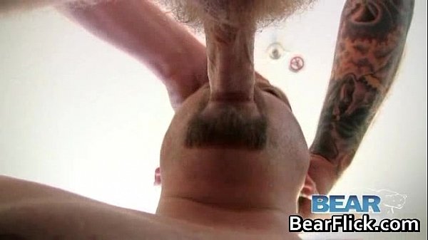 Download Video - Gay bears drilling fat ass hardcore gay porn