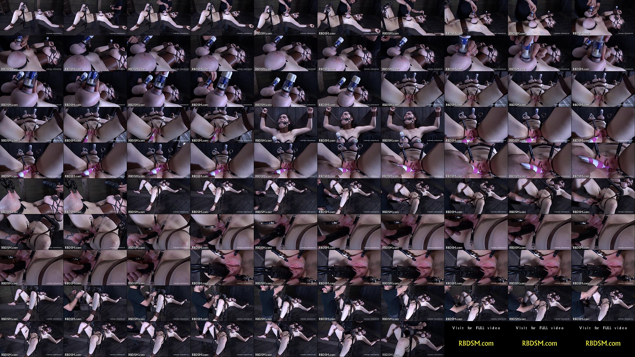 Submitting to stud&#039;s demands 预览图