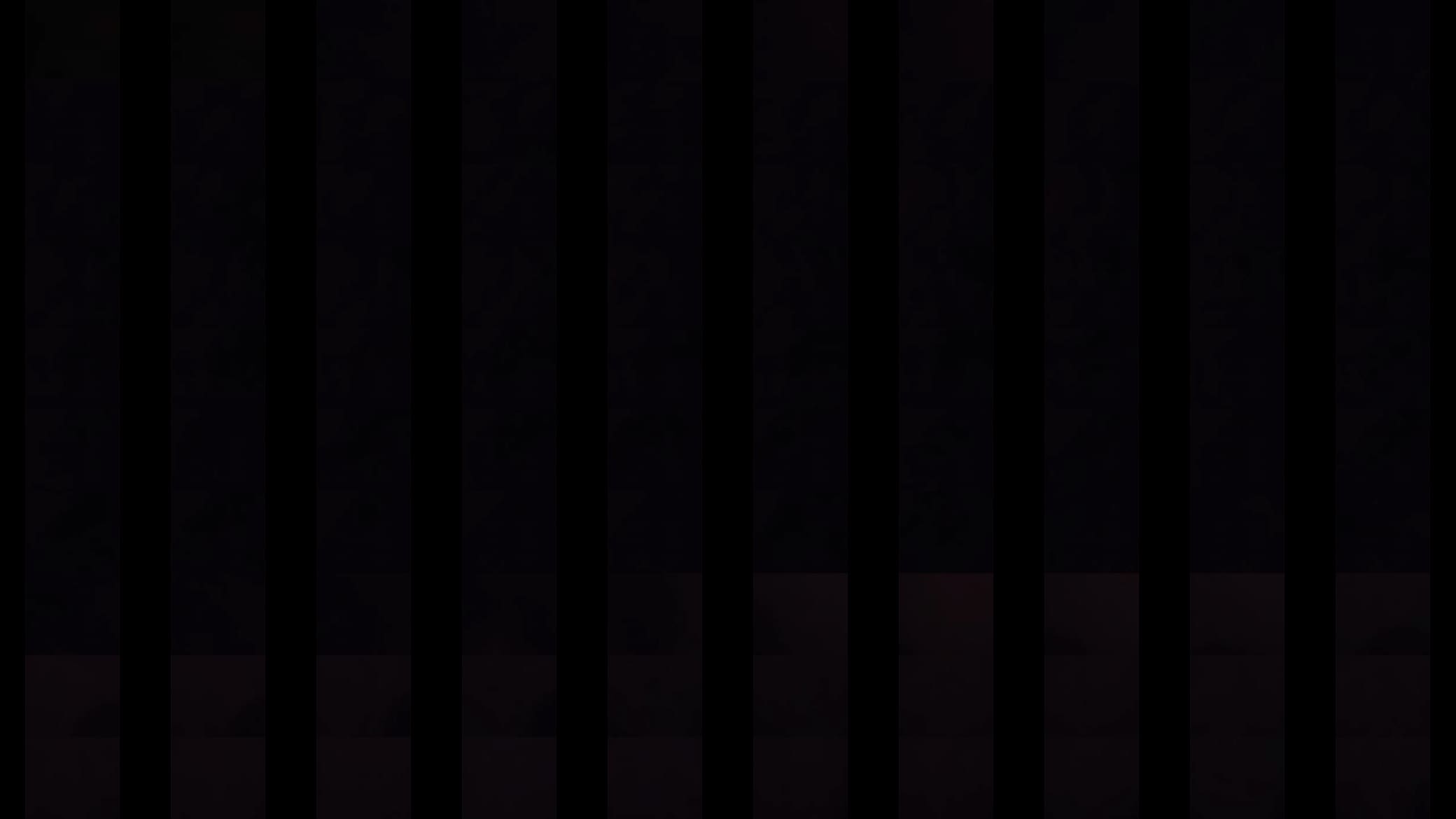 Verification video 预览图