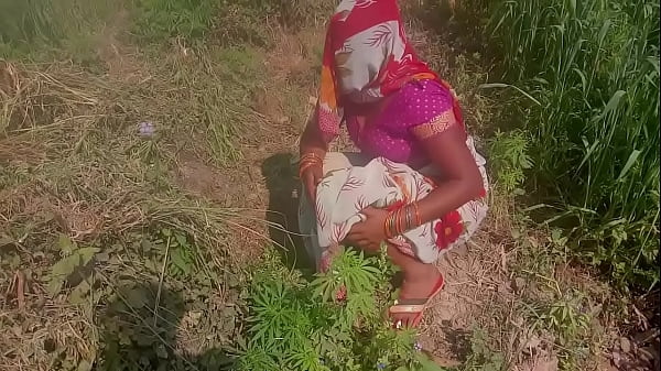 Everbest Indian Desi Aunty Enjoy Sex Outdoor With Young Boy