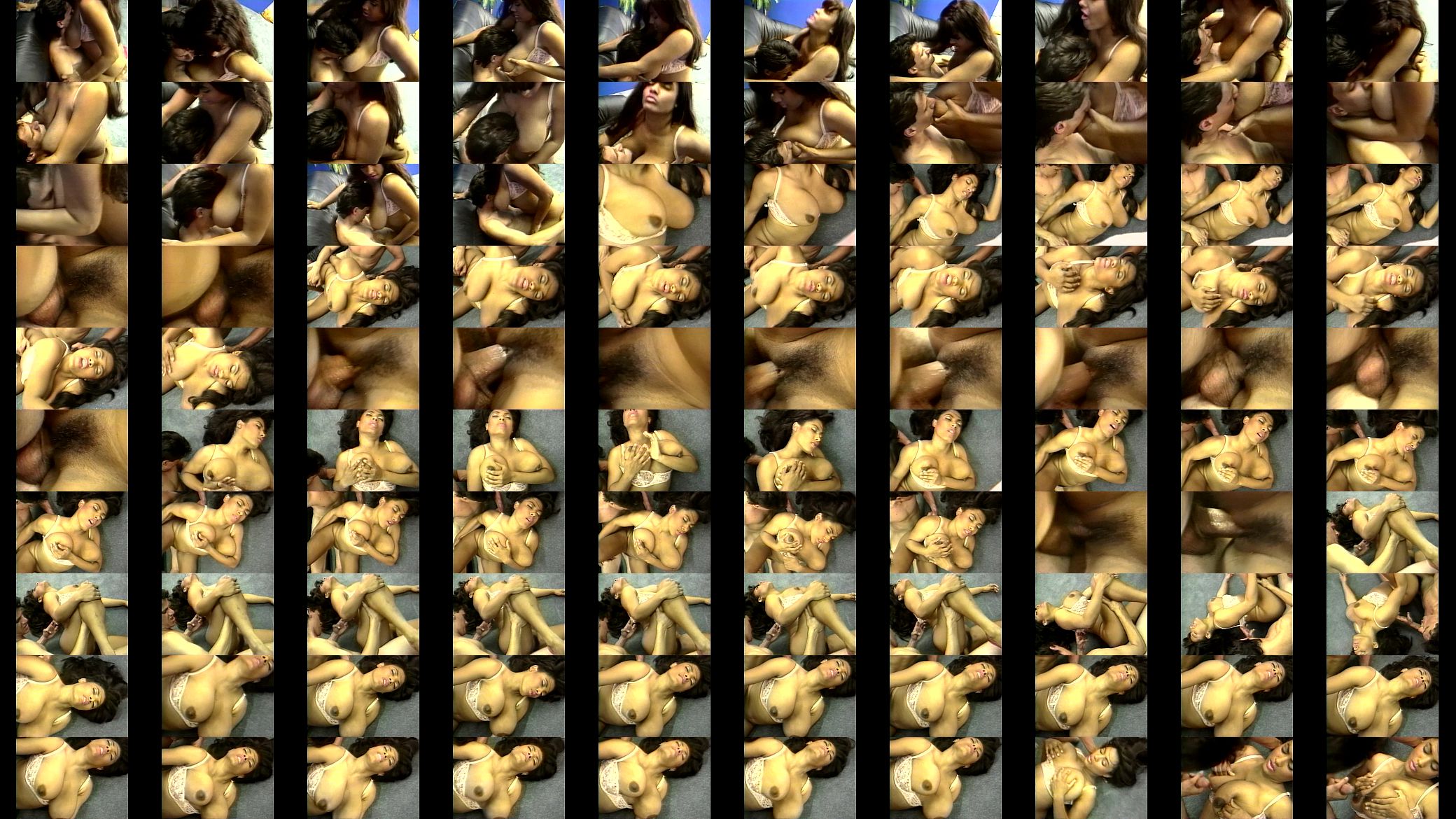 LBO - Breast Collection 03 - scene 1 - video 2 预览图