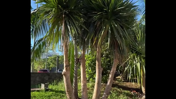 Backstage, de notre nouvelle production &agrave; la r&eacute;union, premier &eacute;pisode l&rsquo;arriv&eacute;e! #porn #frenchprod #frenchporn