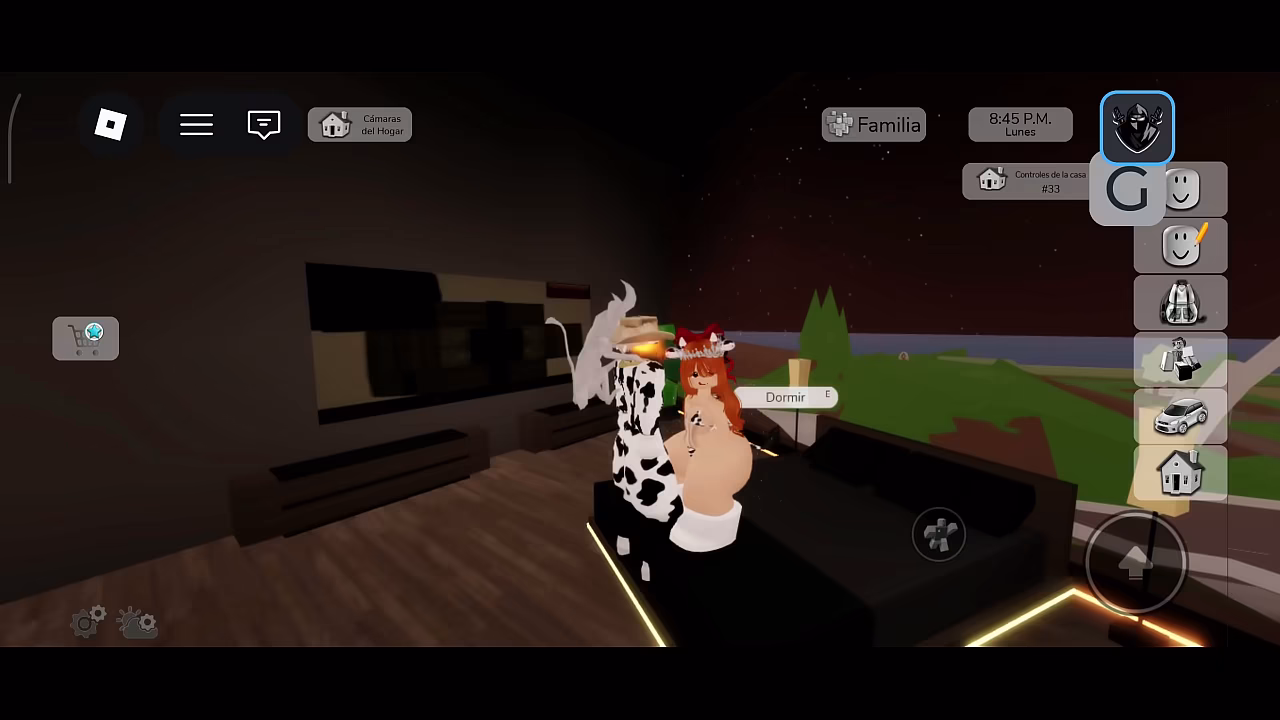 V&iacute_deo de verificaci&oacute_n