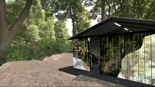 Cristel versus Goldie