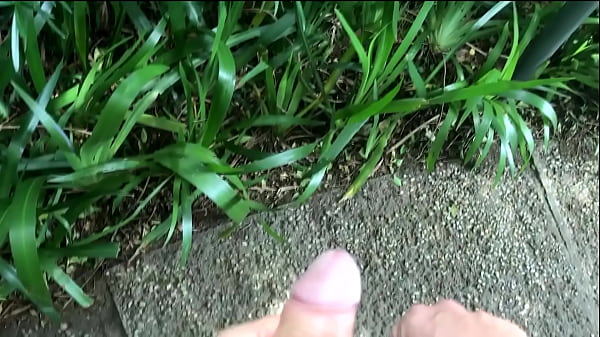 Anal copulation in the public park.