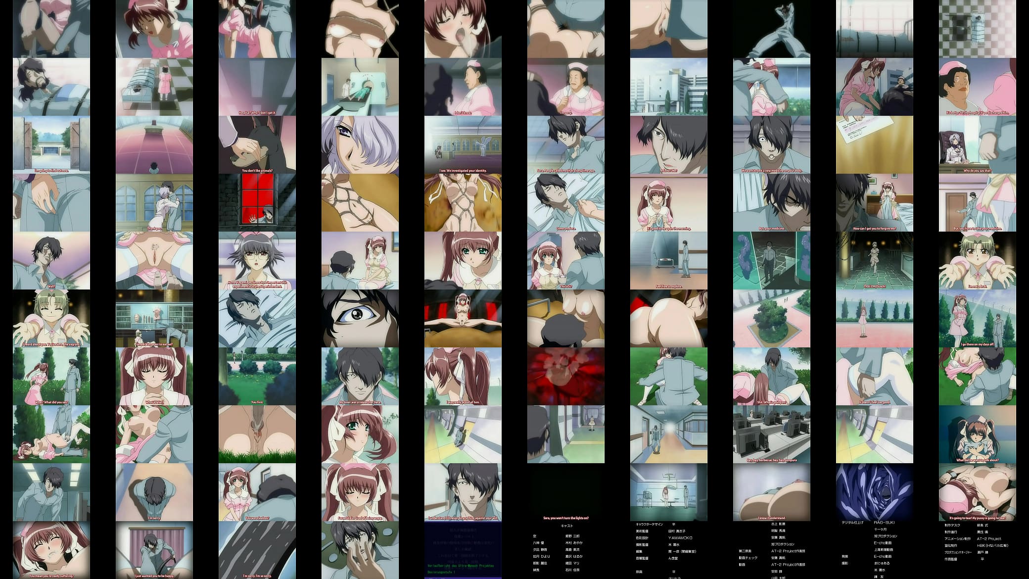 Verification video 预览图