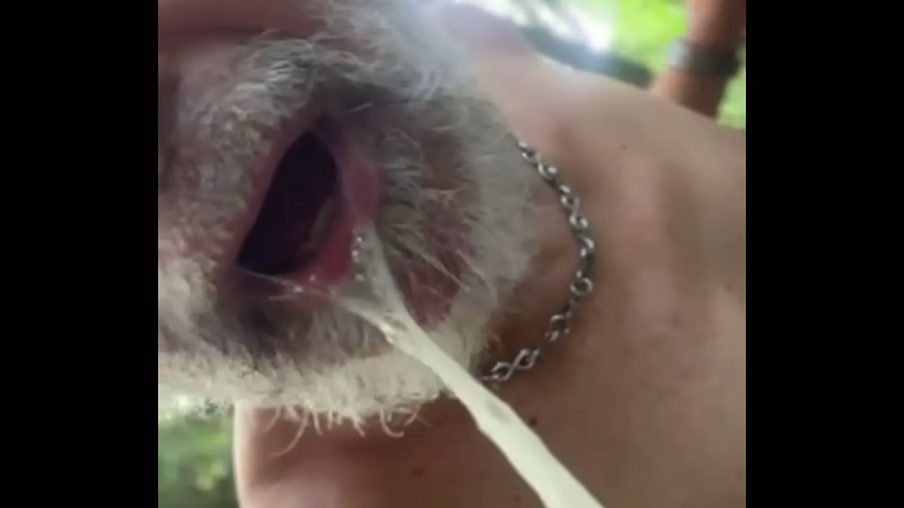 Mamada peligrosa 2: tragando semen de personas sin hogar
                    cumshot blowjob big cock cum in mouth swallowing cum muchos negros