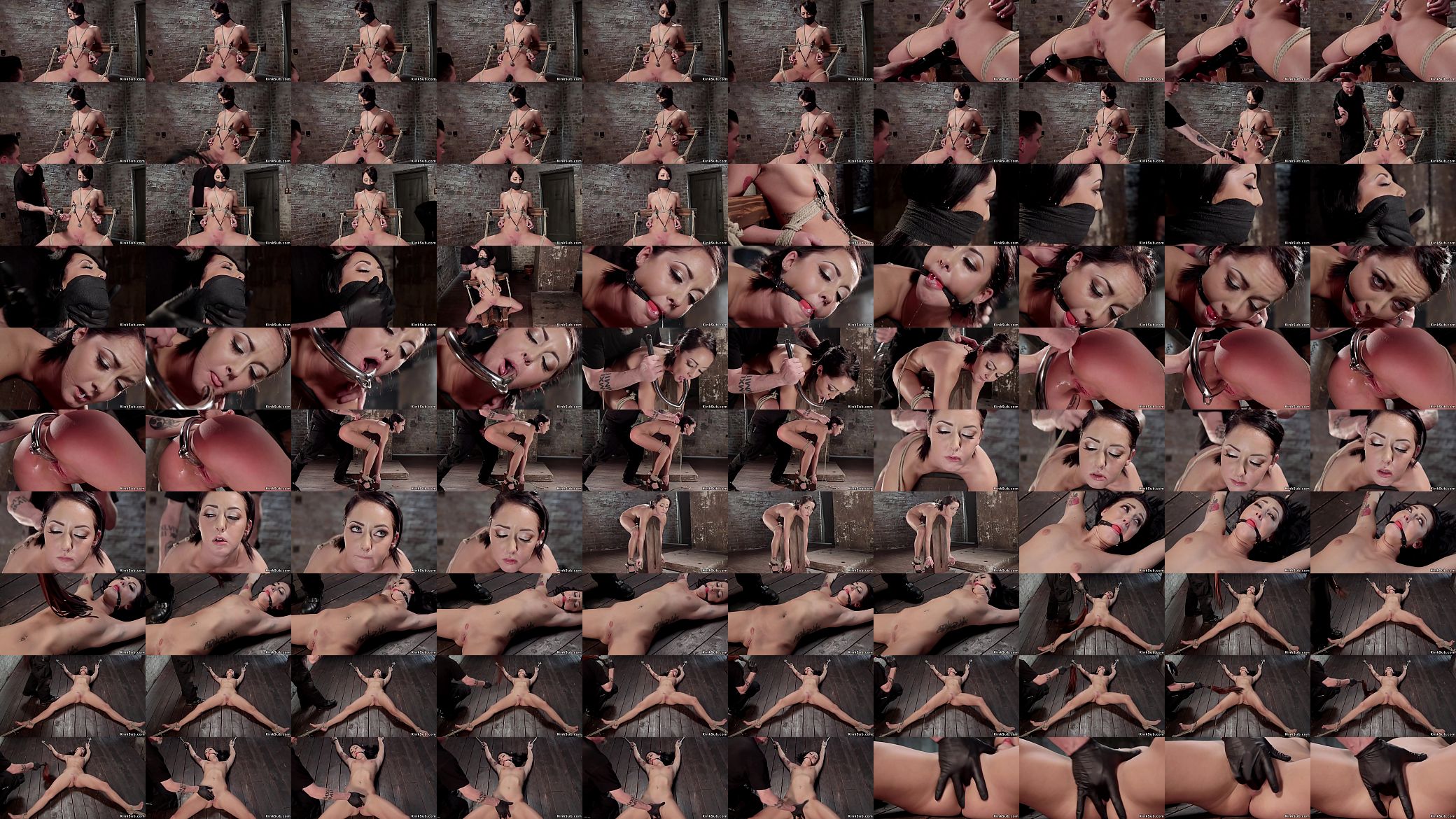 Clamped and weighted nipples slave vibed 预览图