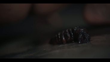 Lesbian Military Threesome - Horny Girls Infected by Alien Parasites