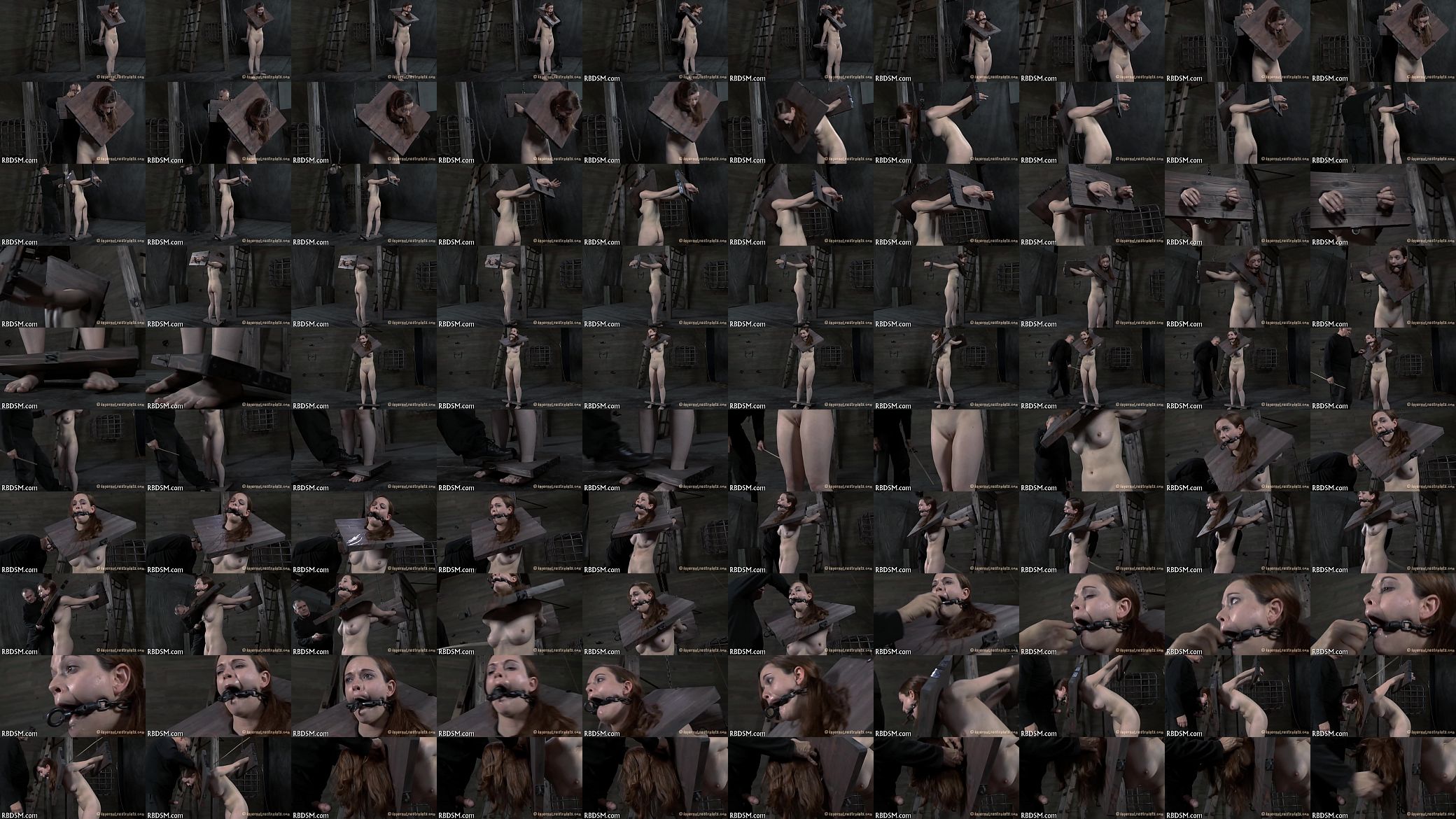 Vids of sadomasochism 预览图