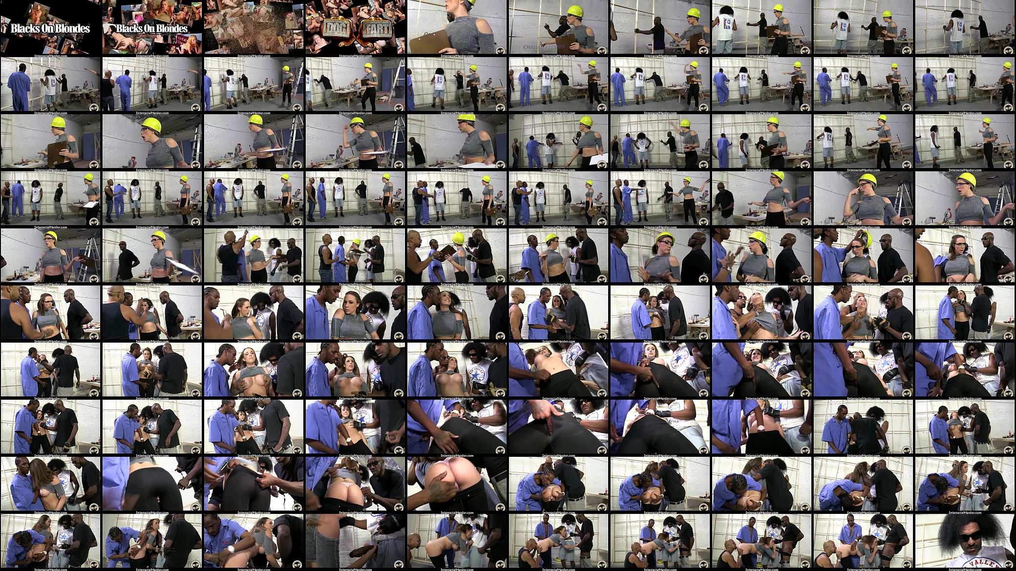 Lethal interracial hardcore sex 14 预览图