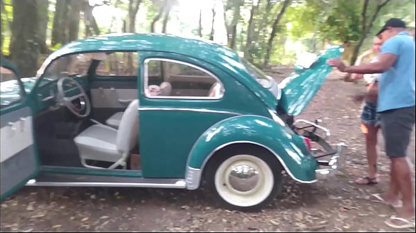 YOU WANT TO BUY A BEETLE.