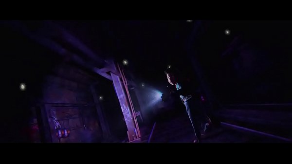 Verification video