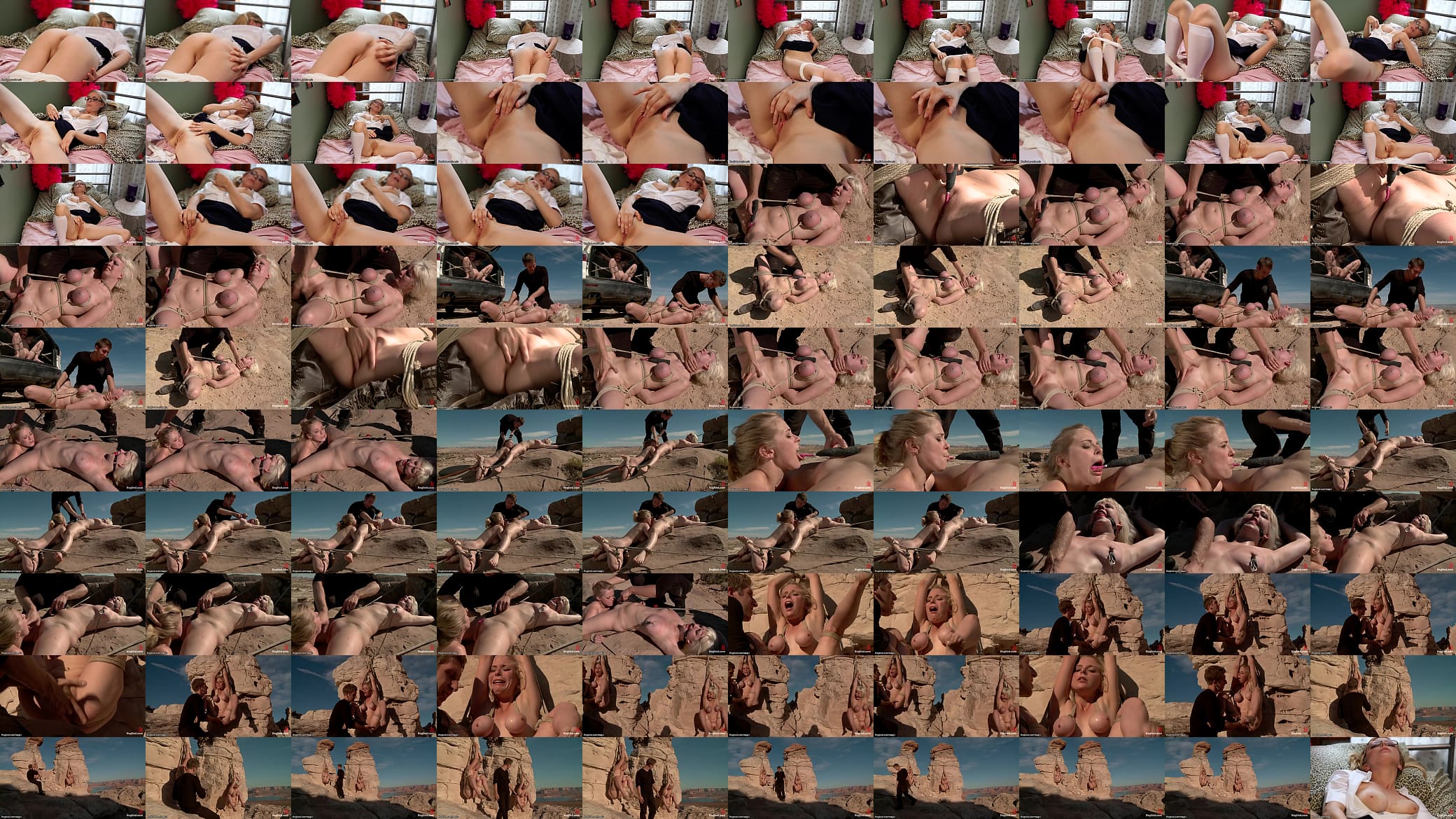 Bound blonds tormented in the desert 预览图