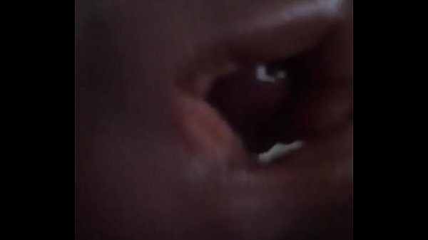 Early Morning Wood 4