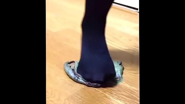 【fetish】Daifuku food crush Knee high socks