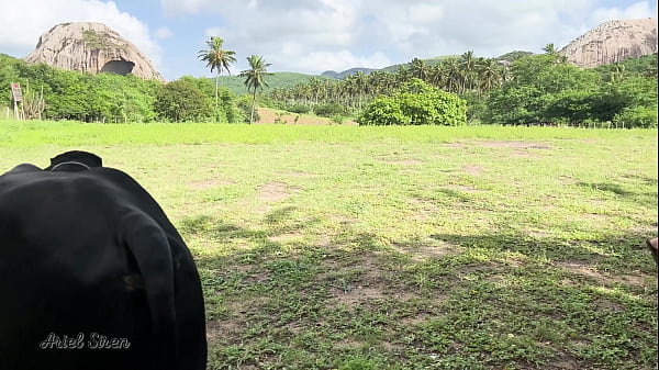 Download Video - Vlog de acampamento - Ele GOZOU DENTRO da minha BUCETINHA