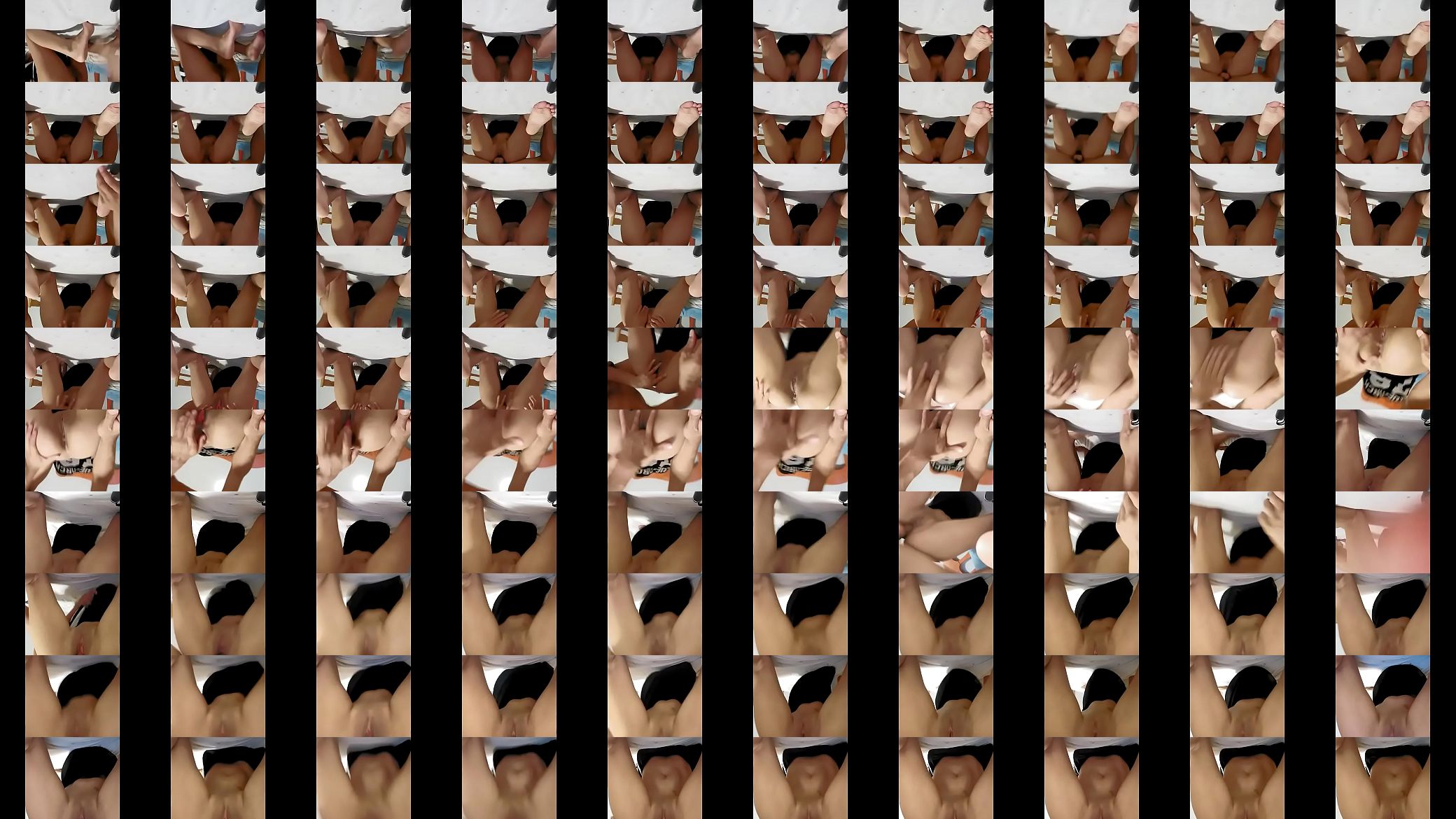 Perrito 预览图