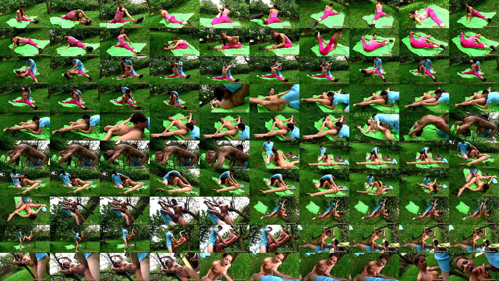 contortion sex in nature 预览图