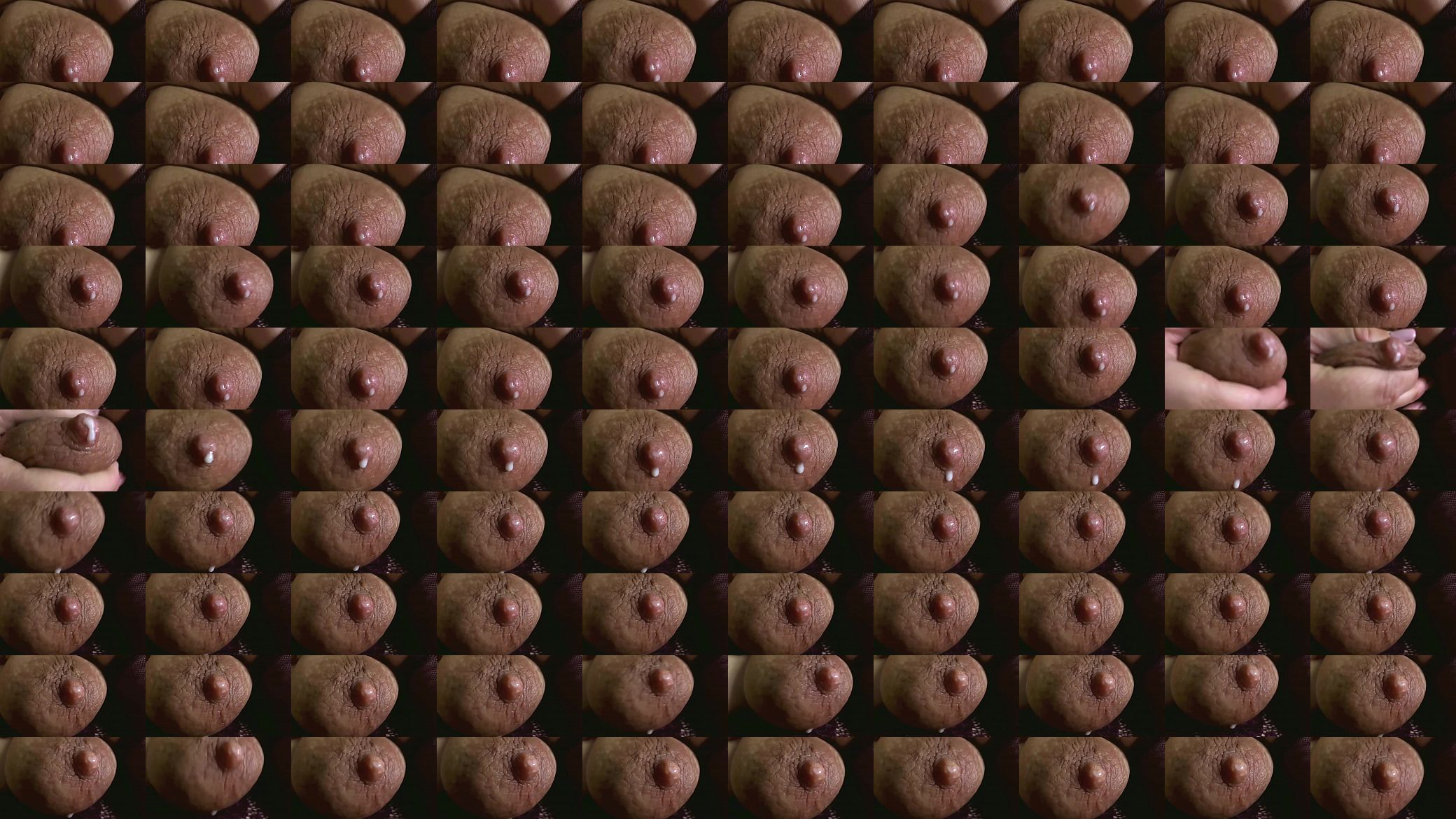 Breast 预览图