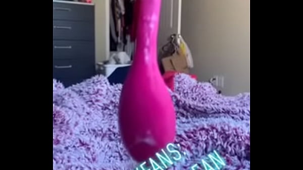 Goose&rsquo;s New Toy