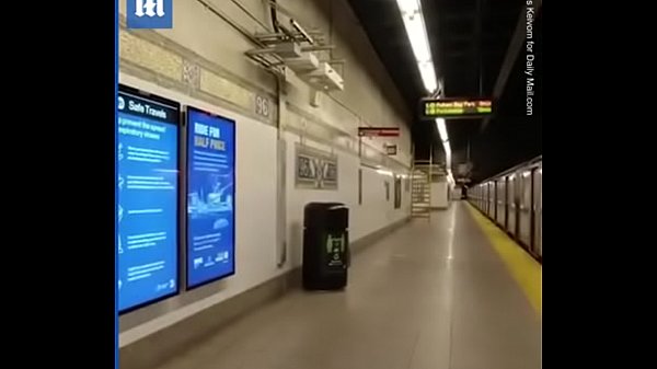 Vidéo De Vérification