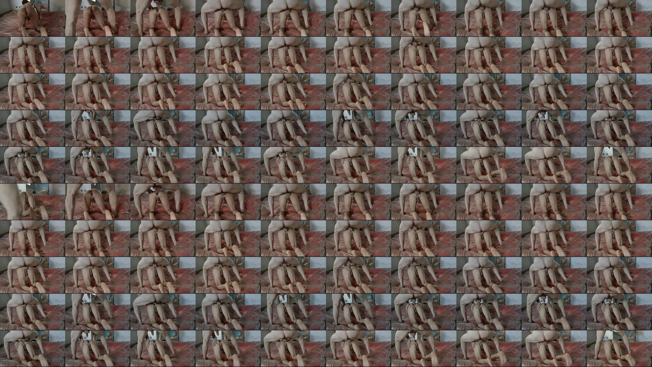 Tamy 预览图