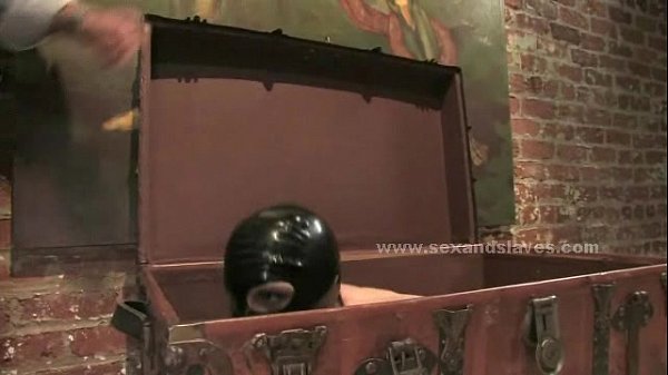 Download Video - Delicious gorgeous busty brunette tied and fucked in bondage sex