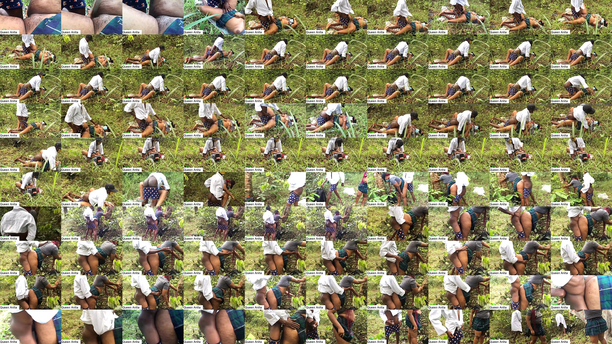 He me in the forest 预览图