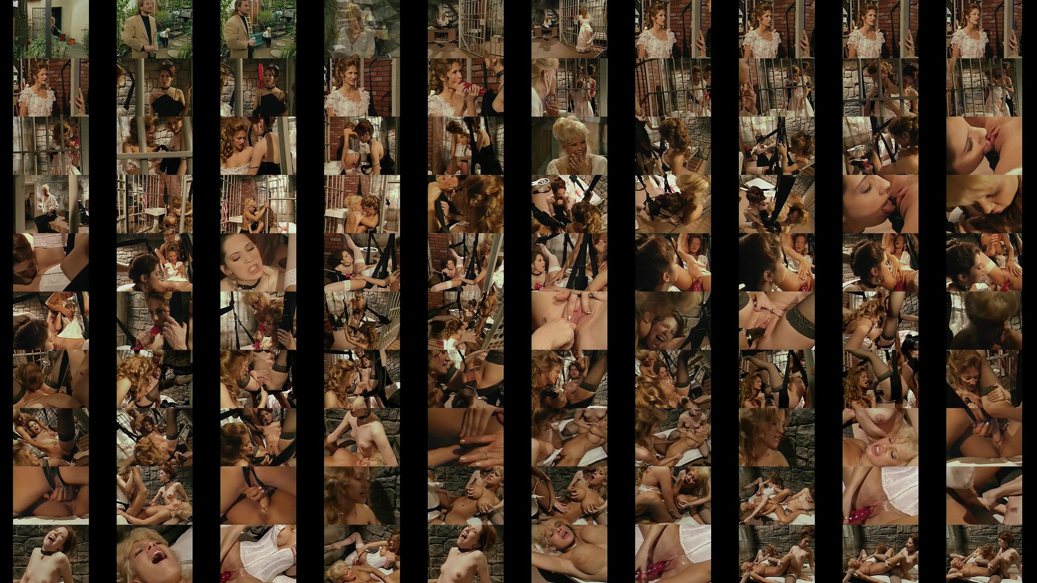 Three gorgeous lesbians with nice tits Gwen Summers, Jessica Drake and Teri Weigel get their twats fucked with strap on and sex machines at the jail 预览图