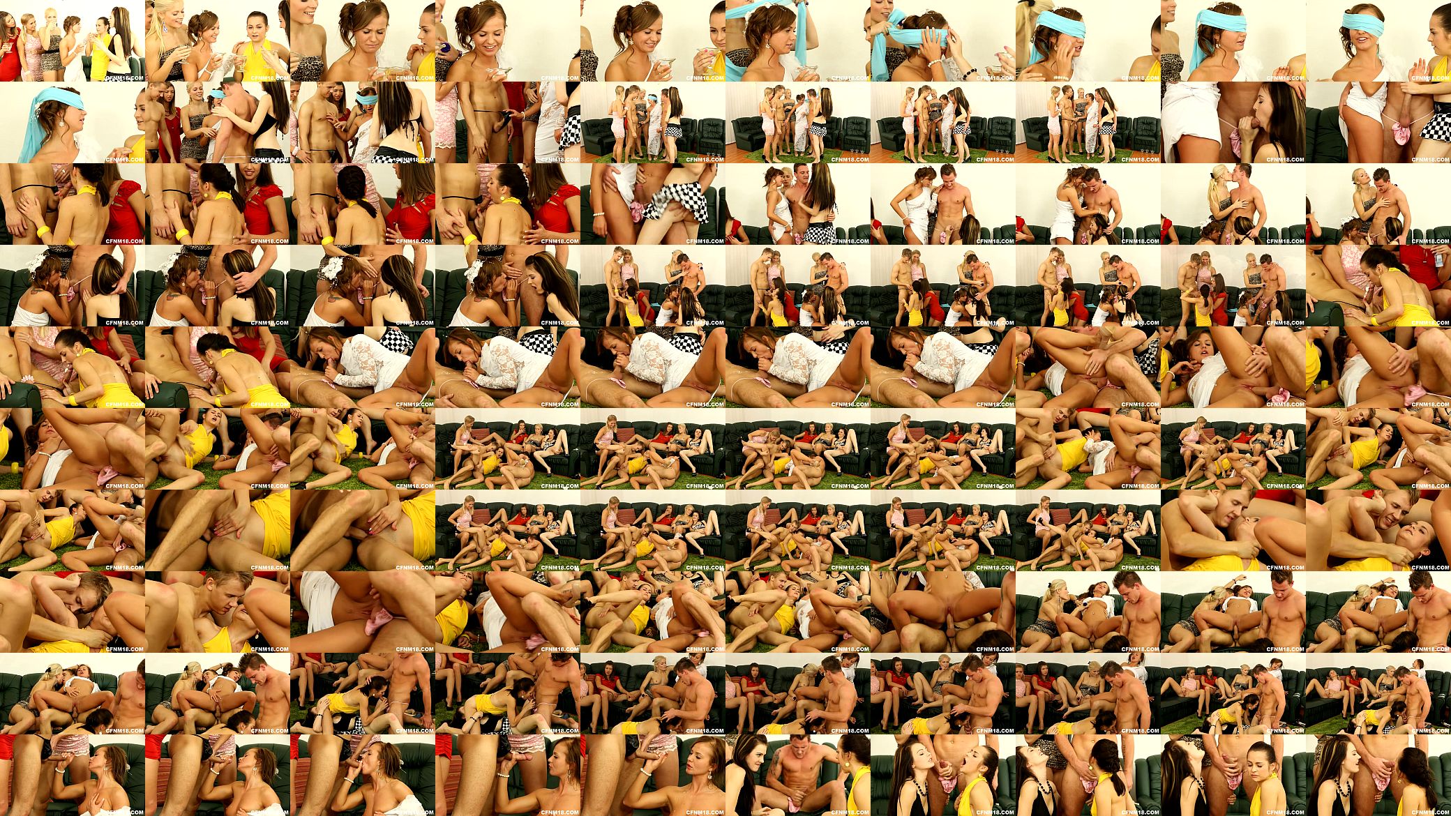 Bachelorette party goes very wrong 预览图