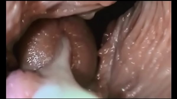 Download Video - Journey to the Inside of the Pussy