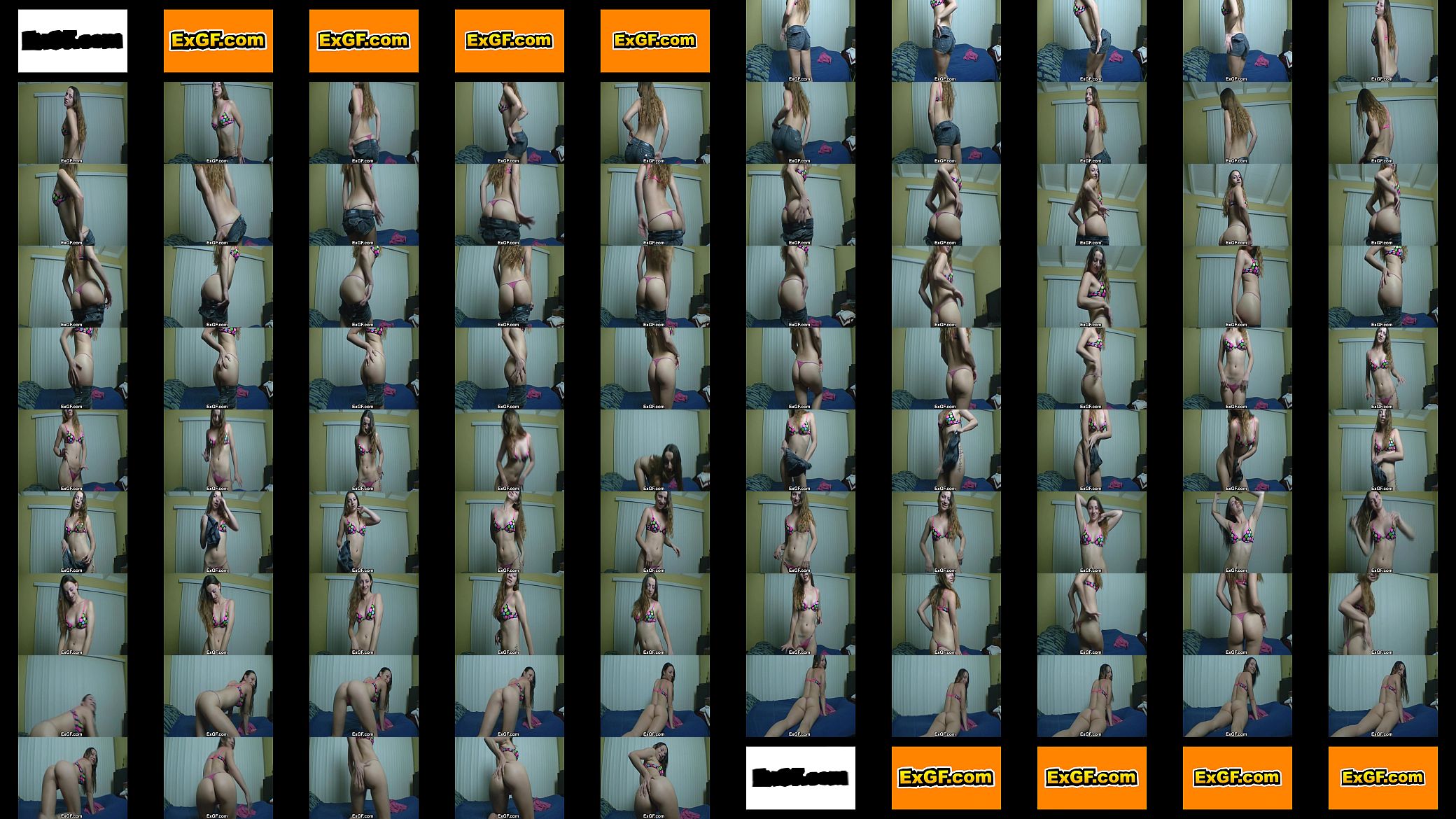 EXGF Homewrecker 预览图
