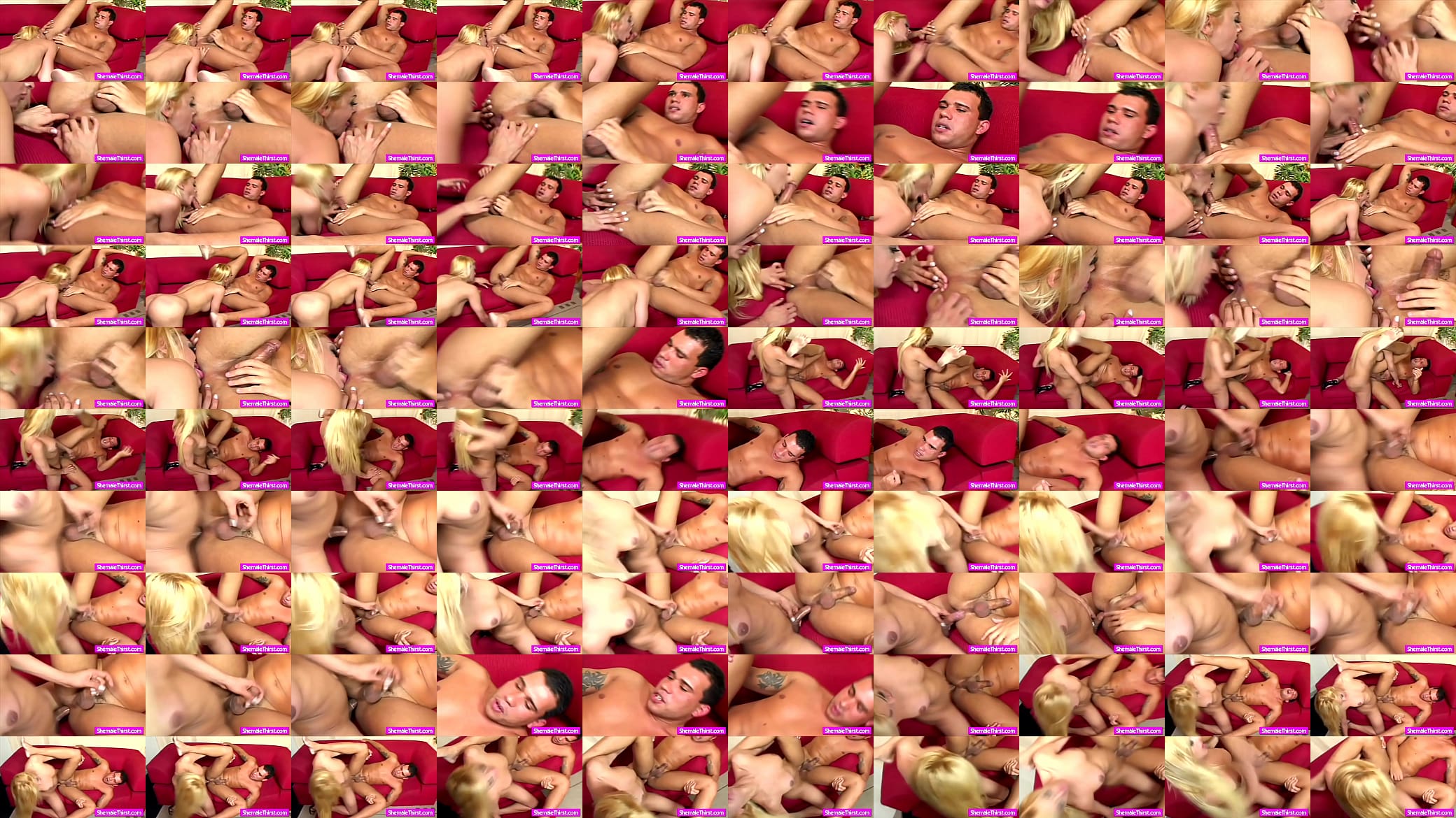 Blonde TS ass rimming and fucking horny 预览图