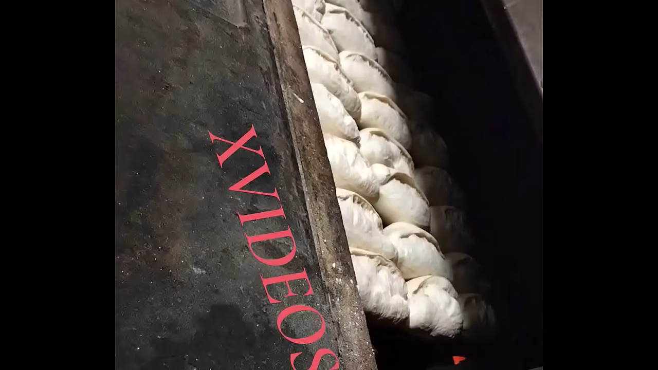 V&iacute_deo de verificaci&oacute_n