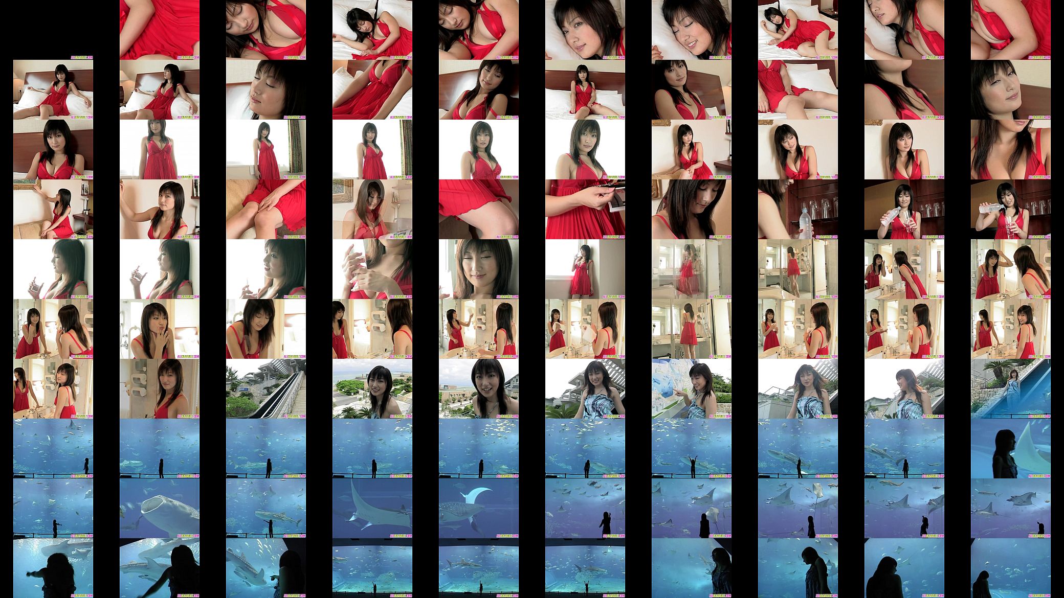 3917 预览图