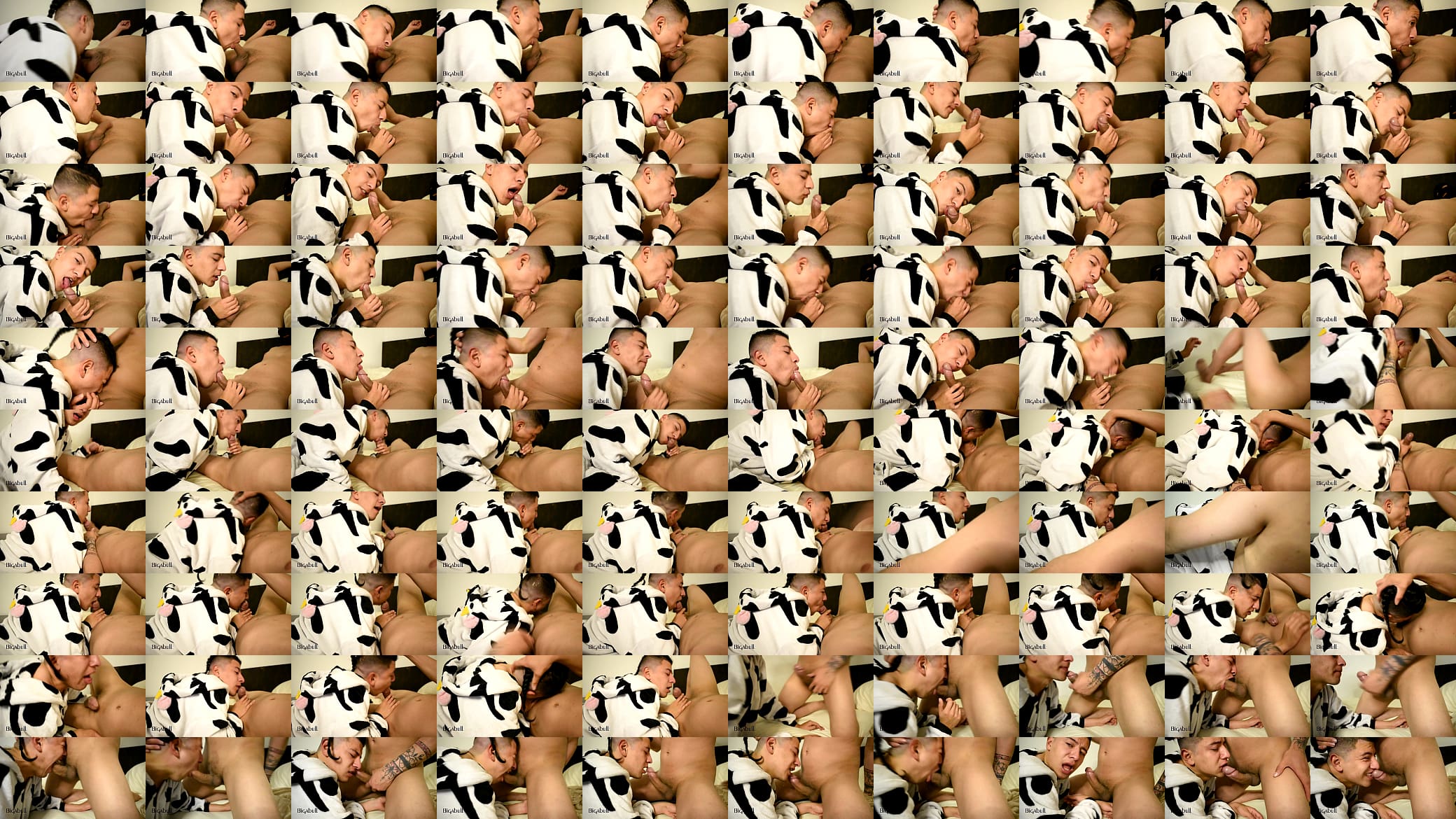 A very deep blowjob for a big cock 预览图