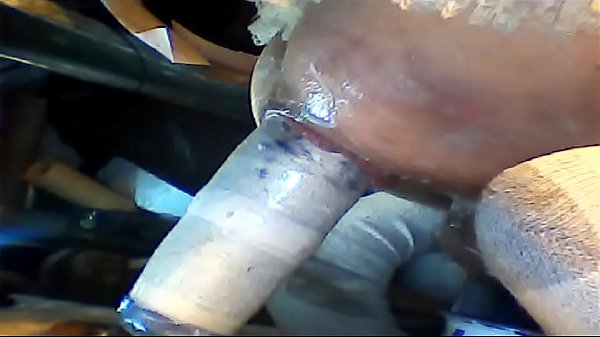 Download Video - Untitled 26